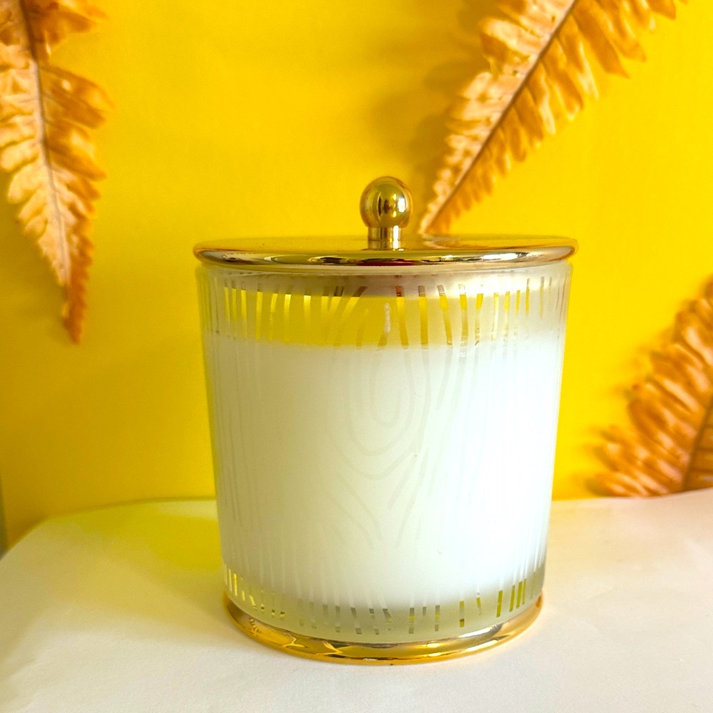 Thymes Frasier Fir Candle - Gilded Collection (Large, 13.5 oz)